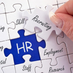 specialized search firms human resources