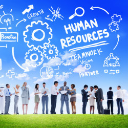 human resource resume job duties